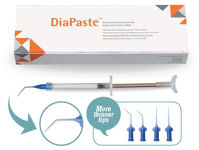 DiaDent DiaPaste