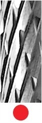 FE