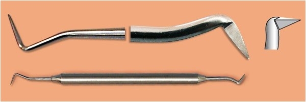 Scaler Omnis1